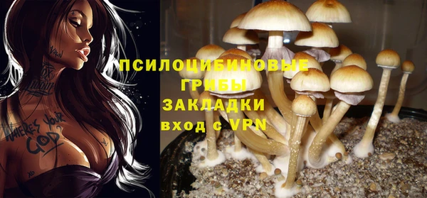 каннабис Богородск