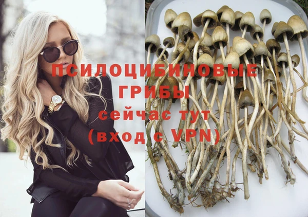 MDMA Белокуриха